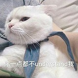 狗屎p的头像