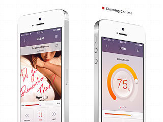 HOTEL SELF CONTROL SYSTEM