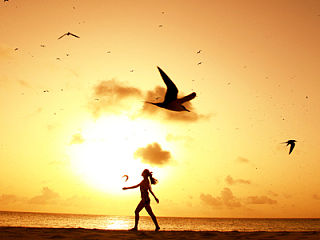 塞舌尔拍媳妇儿