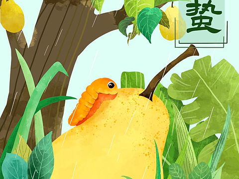 惊蛰插画
