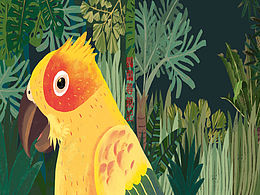 兒童繪本之《鸚鵡尋親記》