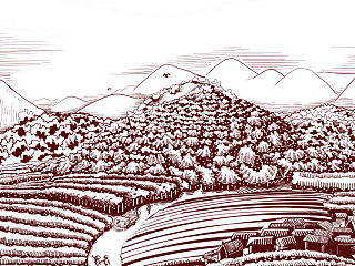 果酒包裝插畫（個人主頁-ZNTA4NjY5Ng==） - 商業(yè)插畫 - 站酷設(shè)計師大M小子原創(chuàng)素材 - 站酷ZCOOL