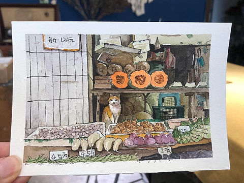 钢笔淡彩——日常画