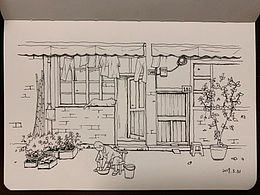风景插画