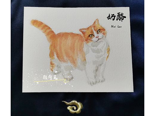 北大猫组图