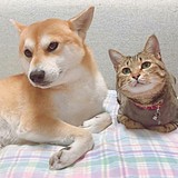 是mono同学的头像