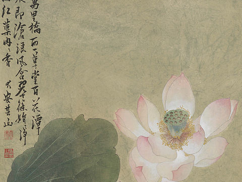 张其山花鸟画，风动荷香