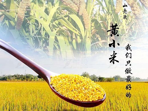 黄小米详情设计