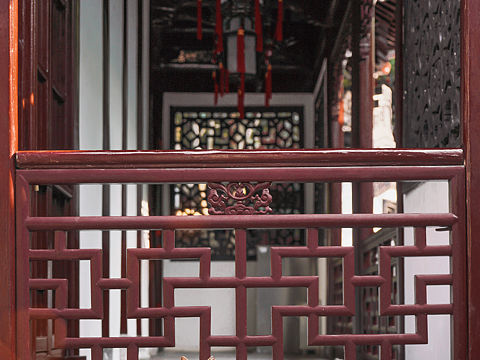 豫园的猫咪小灰