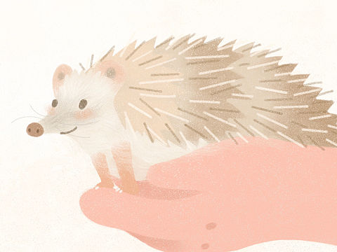 《姑姑家的刺猬》绘本 上