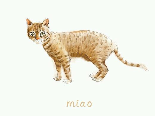 小喵喵（個人主頁-ZMjE2MDc2ODQ=） - 創(chuàng)作習(xí)作 - 站酷設(shè)計師malongan原創(chuàng)素材 - 站酷ZCOOL