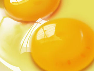 鸡蛋小练习（个人主页-ZNTA0NTU5Mg==） - 其他 - 站酷设计师www222wing原创素材 - 站酷ZCOOL