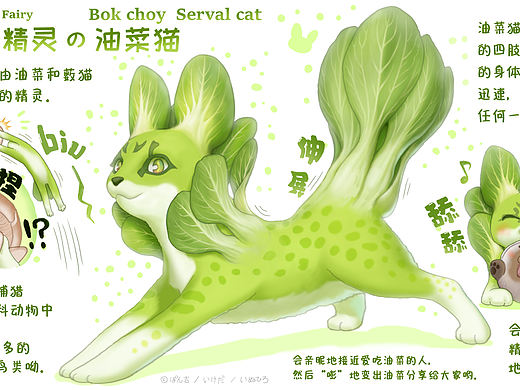 【蔬菜精灵】油菜猫