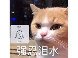 伤心到无以言表，跟了我好几年的U盘丢了，里边都是我这些年工作的作品和资料！！！