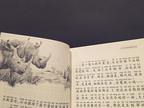 我的作品印在书上啦啦啦啦啦啦啦（个人主页-ZMjg4NzI4MjQ=） - 儿童插画 - 站酷设计师禹德水原创素材 - 站酷ZCOOL