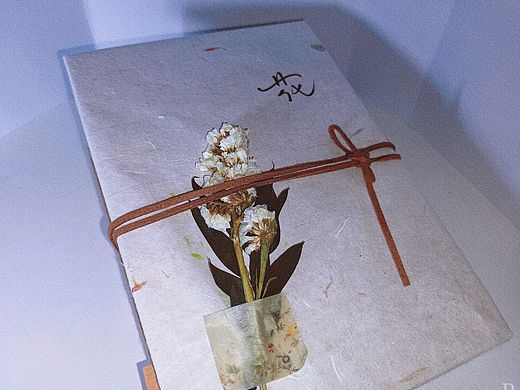 概念书籍——《花》