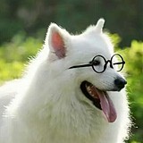 刘段的头像