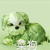 白山楂的头像