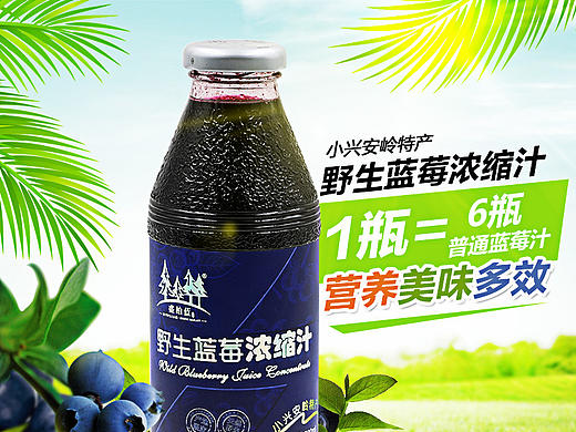 蓝莓果汁详情 饮料