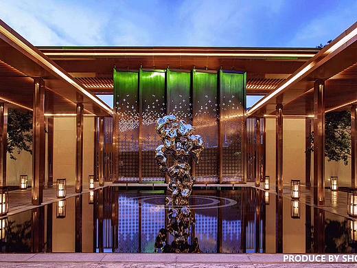 惠州·星河丹提