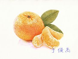 彩色圆珠笔画-橘子