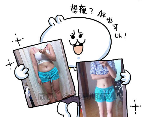 歪耳兔减肥记