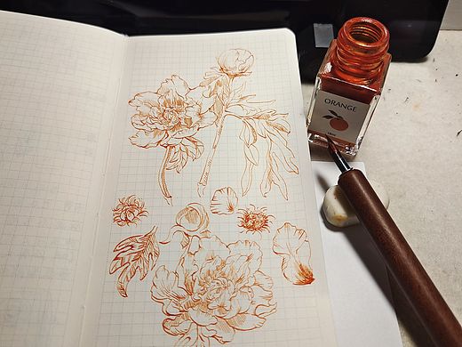 手绘牡丹#创作加油站#