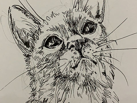 速写随笔（个人主页-ZNDMyNjg1MzI=） - 绘画 - 站酷设计师Lily的天马行空原创素材 - 站酷ZCOOL