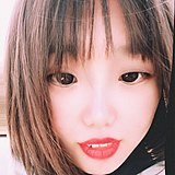 菲菲的斗牛犬的头像