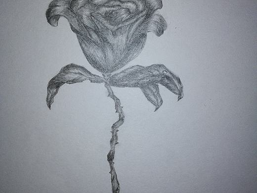 插画（个人主页-ZMjcyNTExOTI=） - 像素画 - 站酷设计师L老P潘原创素材 - 站酷ZCOOL