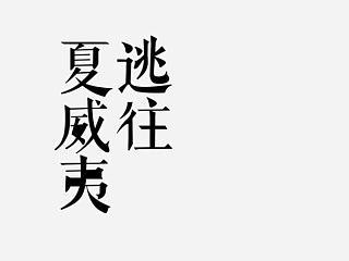 《逃往夏威夷》| 书籍装帧设计