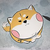 肉肉圆的头像