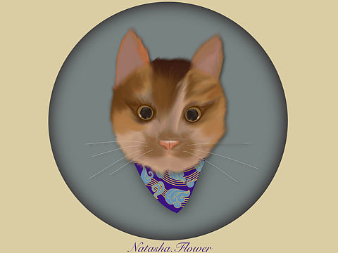 袁小花喵 Natasha.Flower 插画练习