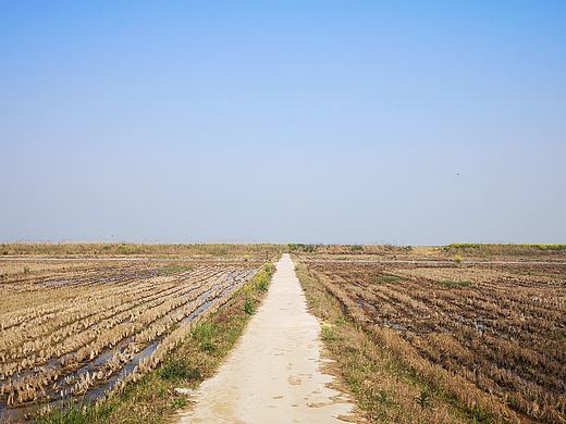 每日一拍-补拍017