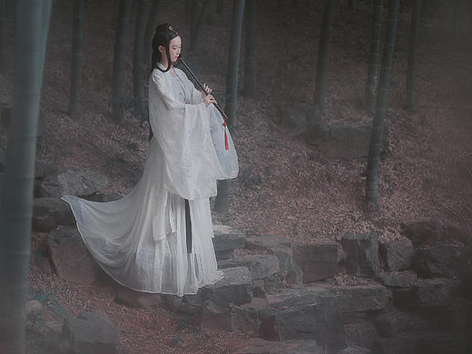 空山鹤灵