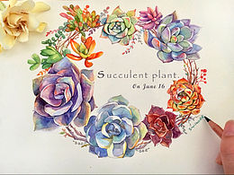 水彩多肉