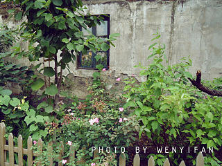 绿夏（个人主页-ZNzIwNTA0MA==） - 环境/建筑摄影 - 站酷设计师绿川幸原创素材 - 站酷ZCOOL