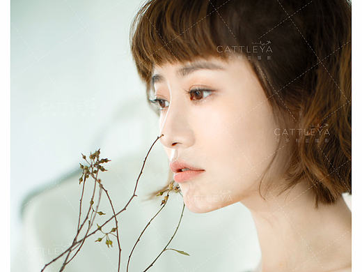 【卡多利亚摄影】白茶清欢