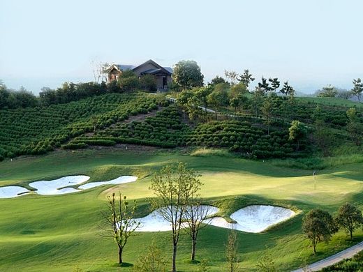 高尔夫背景板等