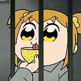 毛桑毛桑的头像