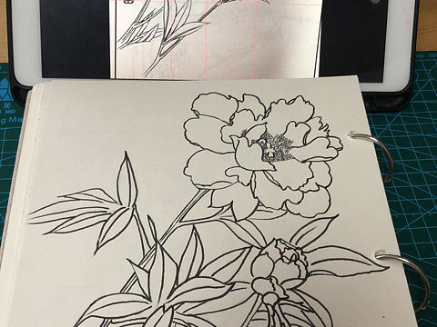 花卉的临摹练习