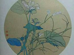 《早晨的格桑花》