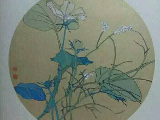 《早晨的格桑花》