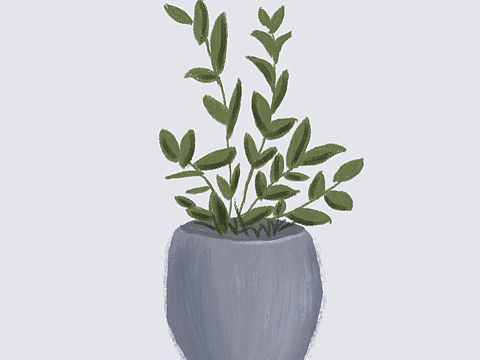 植物小插画，满满的小惊喜……
