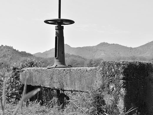单色乡村风景