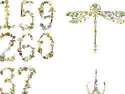 方瀛插画系列一之数字与昆虫（个人主页-ZMjU3OTUwMA==） - 图案 - 站酷设计师方瀛CRain原创素材 - 站酷ZCOOL