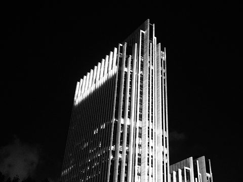 退去缤纷看黑白世界