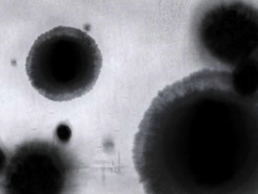 CDR绘制水墨动画“出水莲”