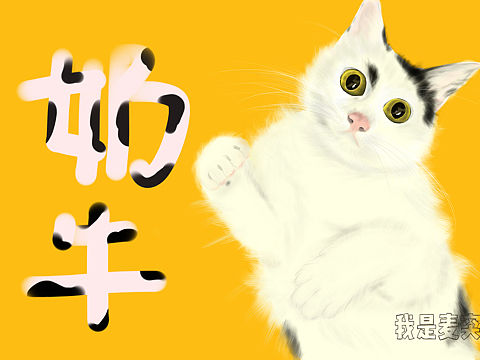 Procreate习作小猫咪绘画