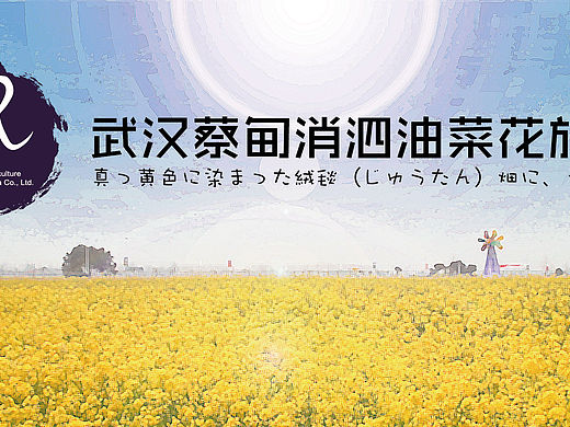 武汉蔡甸消泗油菜花旅游节主题海报